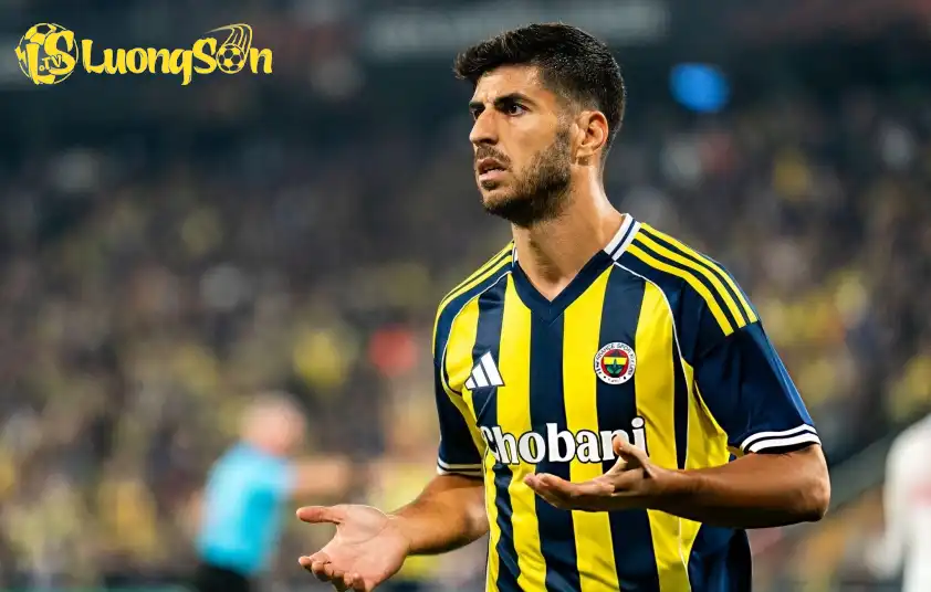 Fenerbahce phần nào được đánh giá cao hơn so với Gaziantep Fenerbahce phần nào được đánh giá cao hơn so với Gaziantep