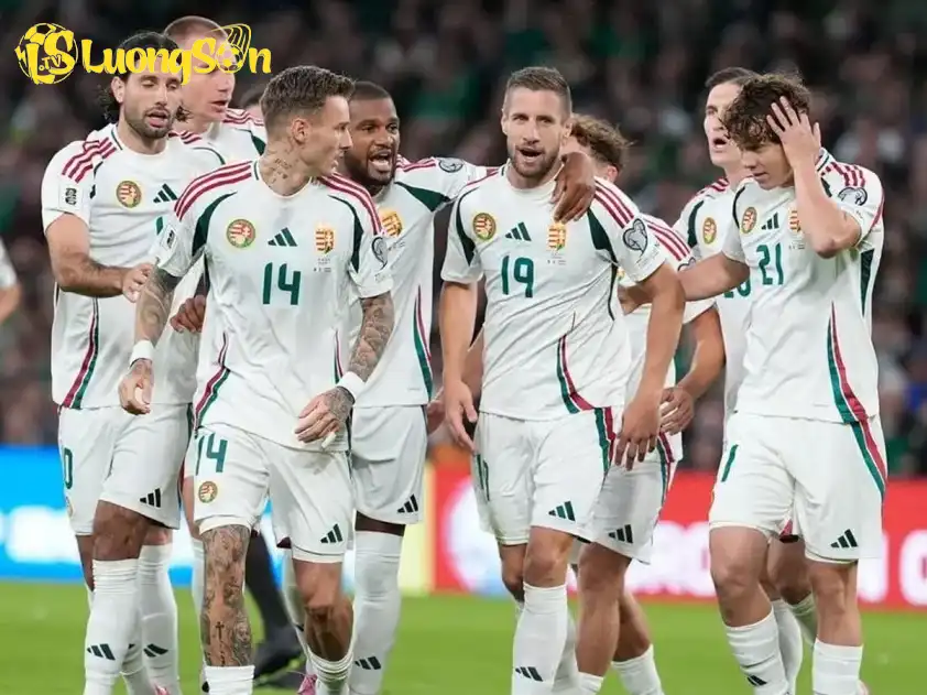 Hungary quyết tâm để có được tấm vé dự World Cup